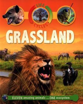 Paperback Life Cycles Grassland Book