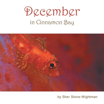 Paperback December in Cinnamon Bay Book