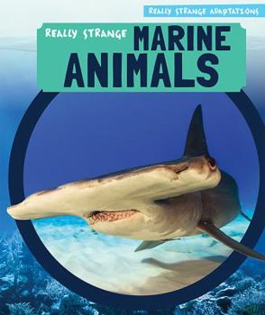 Library Binding Really Strange Marine Animals Book