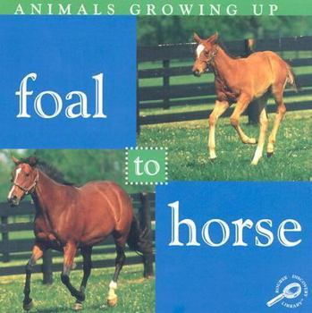 Library Binding Foal to Horse Book