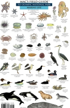 Misc. Mac's Field Guides: Olympic National Park Book