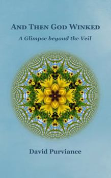 Paperback AND THEN GOD WINKED: A glimpse beyond the veil Book