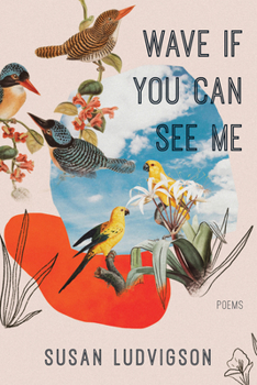 Paperback Wave If You Can See Me Book