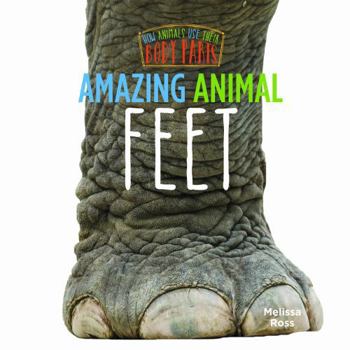 Hardcover Animal's Amazing Feet Book