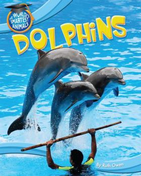 Dolphins - Book  of the World's Smartest Animals