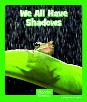 Paperback We All Have Shadows Book