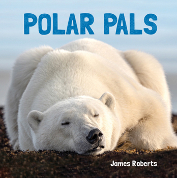 Paperback Polar Pals Book