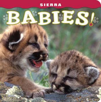 Board book Sierra Babies! Book