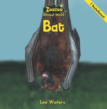 Paperback Zoozoo Animal World: Rainforest Bat Book