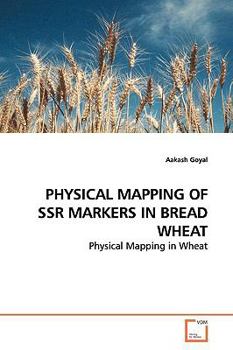 Paperback Physical Mapping of Ssr Markers in Bread Wheat Book