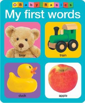 Hardcover Baby Basics My First Words Book