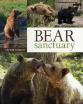 Paperback Bear Sanctuary Book