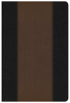 Imitation Leather Summary Bible-KJV Book