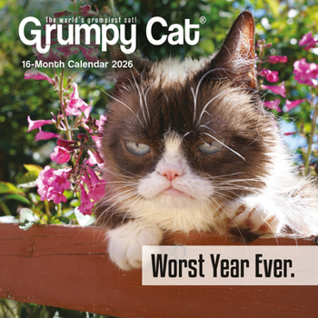 Mini-Disc Grumpy Cat: 7x7 Mini Book