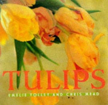 Hardcover Tulips Book