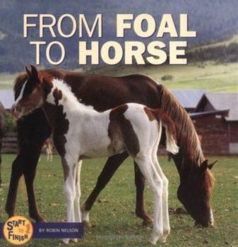 Hardcover From Foal to Horse Book