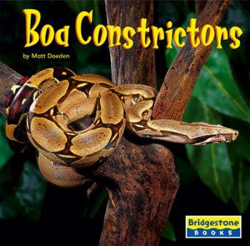 Library Binding Boa Constrictors Book