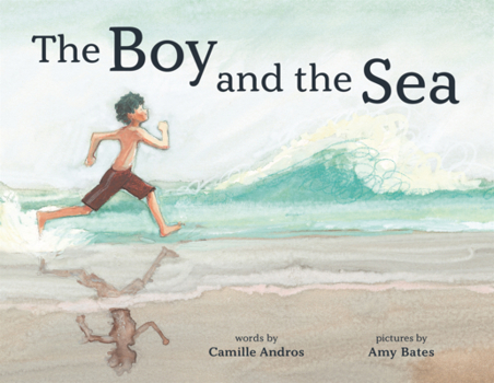 Library Binding Boy and the Sea Book
