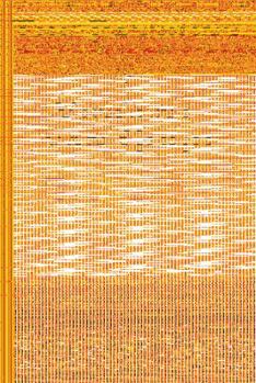 The Passions of Vincent Van Gogh