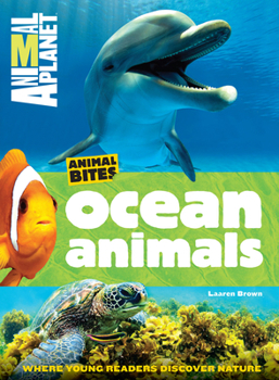Paperback Ocean Animals (Animal Planet Animal Bites) Book