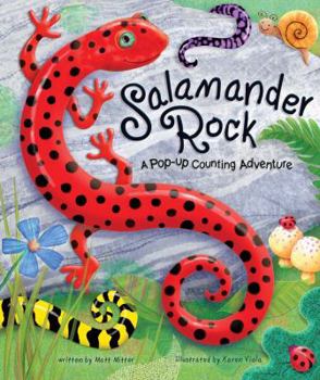 Hardcover Salamander Rock Book