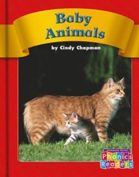 Paperback Baby Animals Book