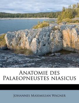 Paperback Anatomie Des Palaeopneustes Niasicus [German] Book