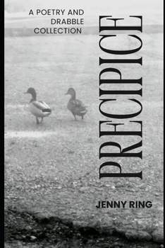 Paperback Precipice: A Poetry and Drabble Collection Book