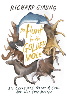 Hardcover The Hunt for the Golden Mole: All Creatures Great & Small and Why They Matter Book
