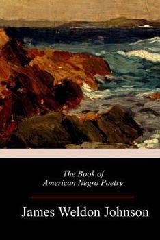 Paperback The Book of American Negro Poetry Book