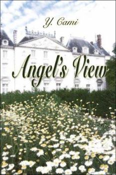 Paperback Angel's View Book