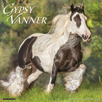 Calendar Gypsy Vanner Horse 2026 Wall Calendar Book