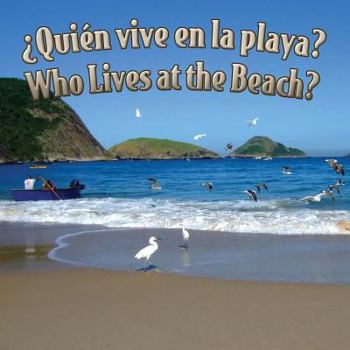 Board book Quien Vive En La Playa?: Who Lives at the Beach? [Spanish] Book