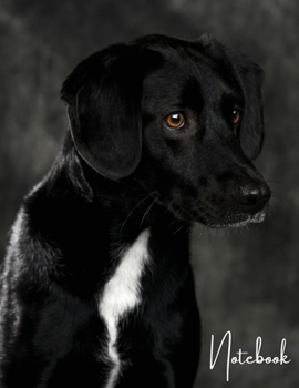 Paperback Notebook: Unlined - Unruled - Plain Notebook - 130 Pages - Large Format 8.5 x 11 in - Workbook - Composition - Labrador Retrieve Book