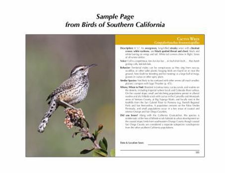Paperback Birds of Southern California Book