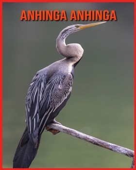 Paperback Anhinga anhinga: Scopri i Anhinga anhinga e goditi le immagini colorate [Italian] Book