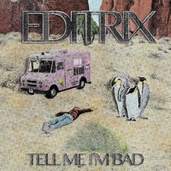 Vinyl Tell Me I'm Bad Book