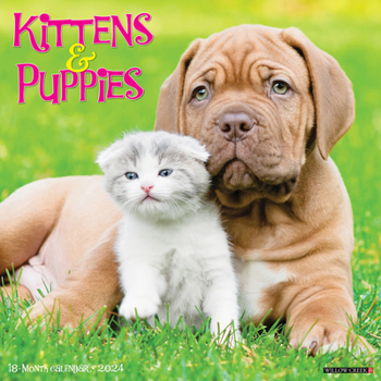 Calendar Kittens & Puppies 2024 12 X 12 Wall Calendar Book