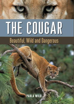 Hardcover The Cougar: Beautiful, Wild and Dangerous Book