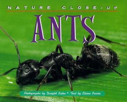 Hardcover Nature Close Up: Ants Book