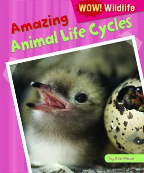 Amazing Animal Life Cycles - Book  of the Wow! Wildlife