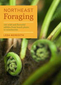 Paperback Northeast Foraging: 120 Wild and Flavorful Edibles from Beach Plums to Wineberries Book