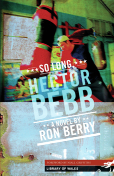 Paperback So Long, Hector Bebb Book
