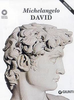 Paperback Michelangelo: David Book