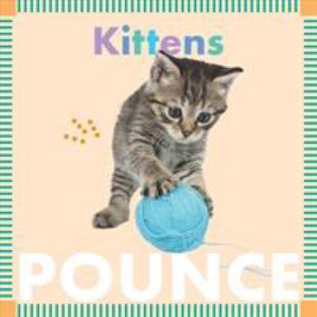 Kittens Pounce - Book  of the Amicus Ink Animal Board Books