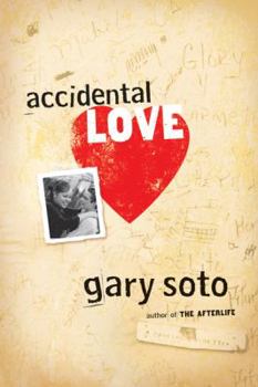 Hardcover Accidental Love Book