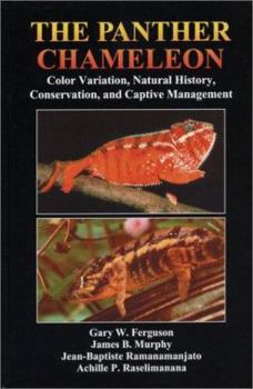Hardcover The Panther Chameleon: Color Variation, Natural History, Conservation, and Captive Management Book