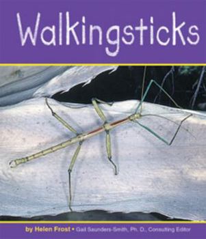 Paperback Walkingsticks Book