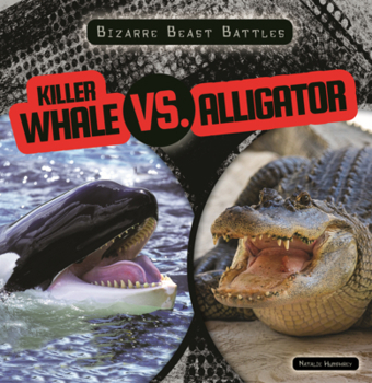 Killer Whale vs. Alligator