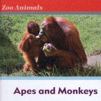 Apes and Monkeys - Book  of the Zoo Animals